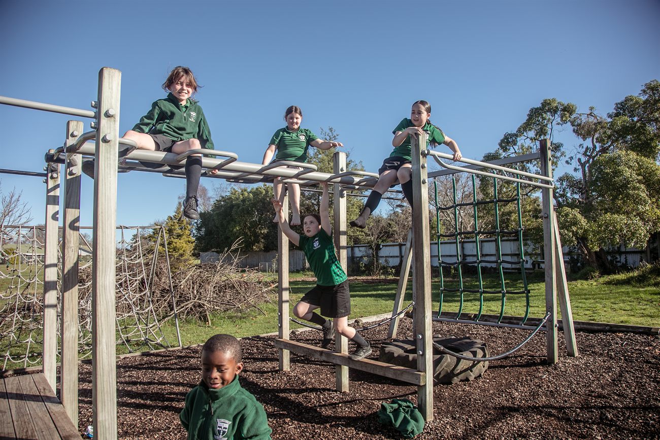 St Patrick's students sitting and climbing on the wooden playground frame